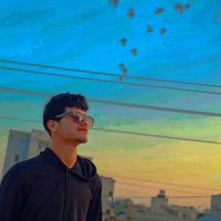 الصوت الأصلي