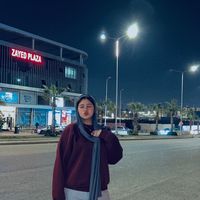 narsiyanmostafaa1