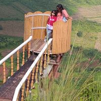 tphyo24