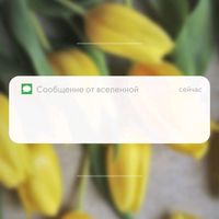 alya_02021