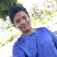 neemiaslopesfalkenstens