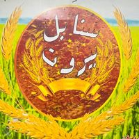 abd.alkader032