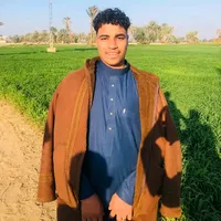 original sound - .anderson.wolf