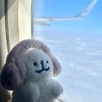 原聲 - 甯꒰͒⸝⸝•༝•⸝⸝͒꒱