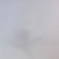 000_ls00