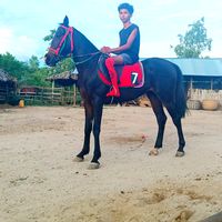 aung.ko.win6605