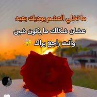 user4085018034727