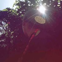 amu__pulami