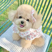 ใช้ได้เลยย