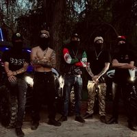 ilovcachorros