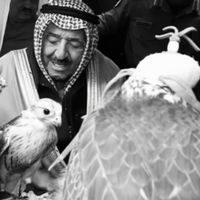 الصوت الأصلي