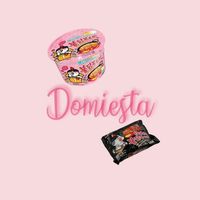 domiestaa