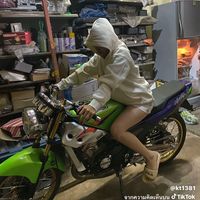 kt1381