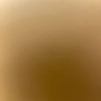 _mer.koc44