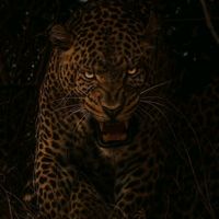 asandamthembu6