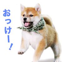 オリジナル楽曲 - ⭐たま⭐