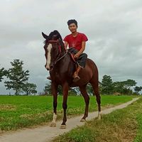 user8504875665796