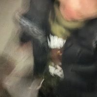 できる女のさしすせそ
