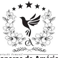 mariachicanorasdeamerica