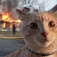 howardmeoward