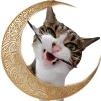 オリジナル楽曲 - 🐈チュン太ママ🌼