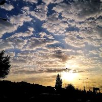 elif.a65