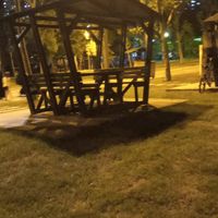 orijinal ses