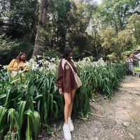 maichyang046