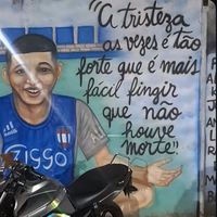 fellipetralha