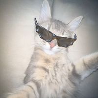 เสียงต้นฉบับ - Punnawit Panakorn