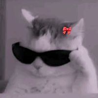 1tz._.m4lko0
