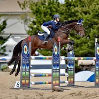 dominik.equestrian