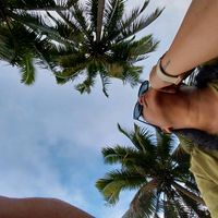 mauahiti_poulette
