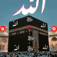farishafazilatnisha786