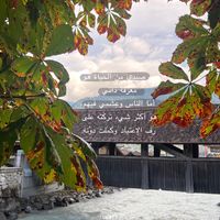 الصوت الأصلي