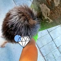 เสียงต้นฉบับ - ภูมิพัฒน์ เดชศิริ