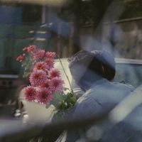 nq.ae_313