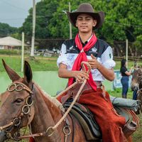 joao.gabriel.sa