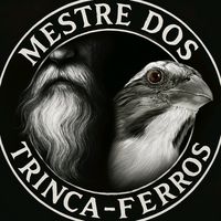 mestredostrincaferros