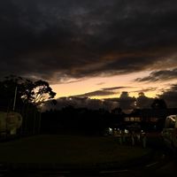 anapaea_