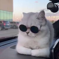 オリジナル楽曲 - .MII.