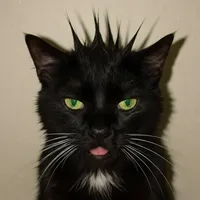 original sound - jonliyoajon