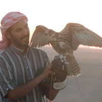الصوت الأصلي