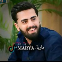 mrya141