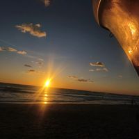 palacios021112