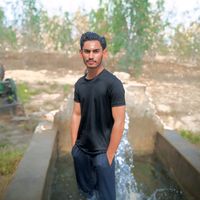 sherazi311