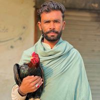 malikakramhayat8