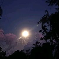 nhạc nền - fan phu nguyen 🫰