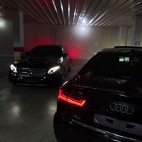 ada_tigr3