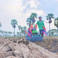 សំឡេងដើម - TEAM